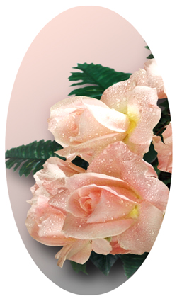 DNSBLUF 062 Bouquet Of Roses Peach